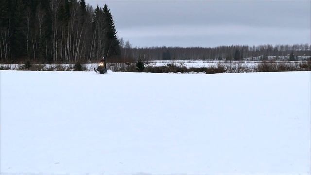 Skidoo Summit 800 154
