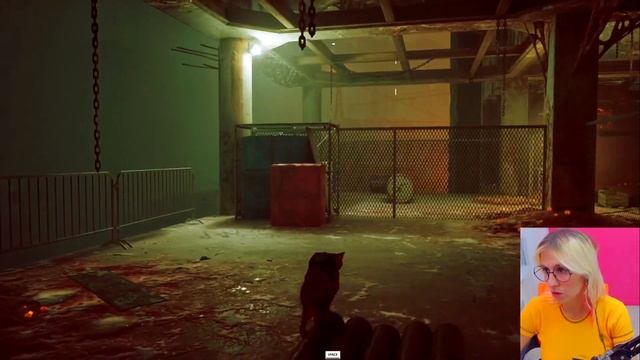 ХИНКАЛИ ДОСТАВАЛИ | Stray #5 смотреть онлайн