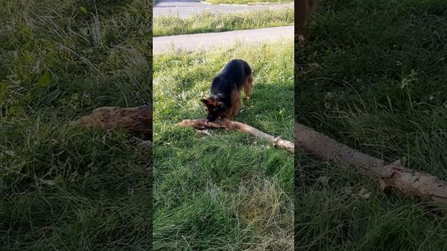 https://m.facebook.com/story.php?story_fbid=546809923260720&id=100037951518804 смотреть онлайн
