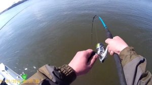 Рыбалка в Астрахани. Камызякский район. Апрель 2017. Часть 5. Гиперактивный жерех.