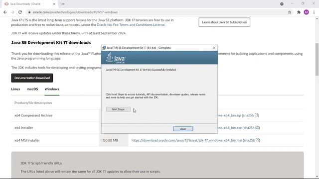 Install Java JDK 17 on windows 10 | java17 | The TechFlow смотреть онлайн