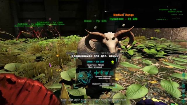 ARK: Survival Evolved - #4 Рыцари, киты, кроты и овцы смотреть онлайн