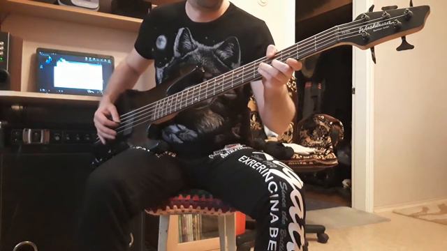 Бас гитара Washburn XB125 (5 струн) смотреть онлайн