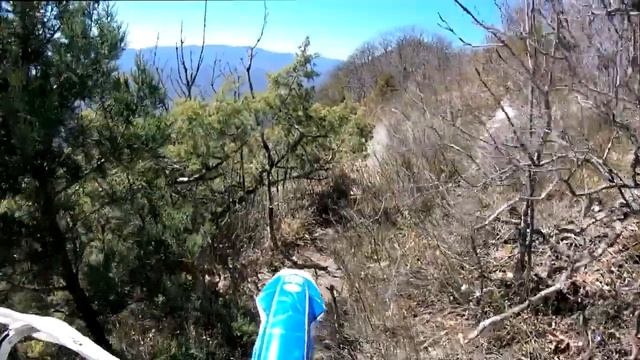 Папай насквозь, Монастыри в огне, в Новосаде порядок или хаске два года 08.04.20 г смотреть онлайн