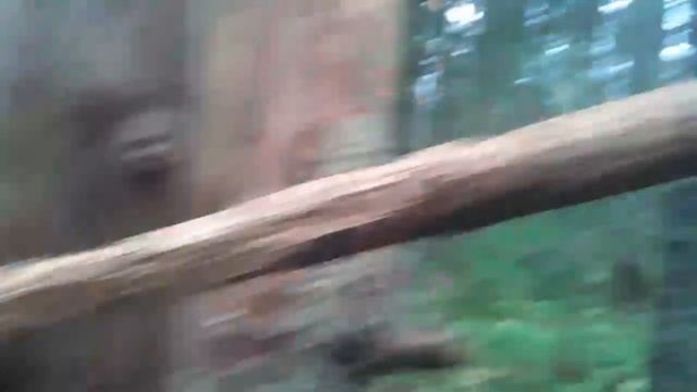 Проверка капканов на бобра-куницу 2022-2023 смотреть онлайн