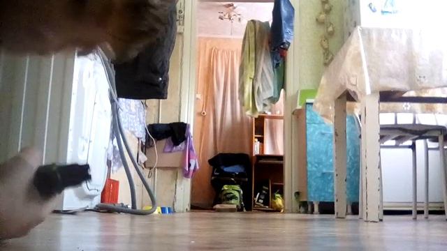 Стрелки из пистолета м20 смотреть онлайн