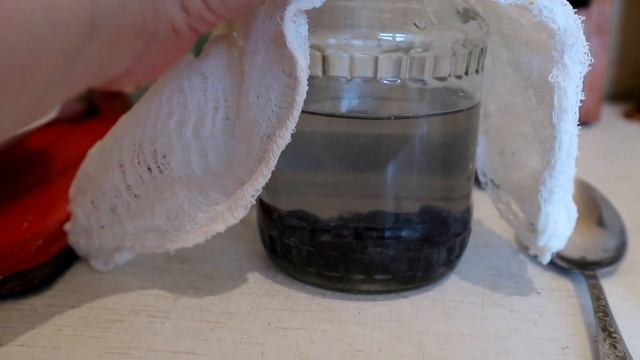 Как сделать дикие или винные дрожжи для напитков Из изюма Самый простой рецепт смотреть онлайн