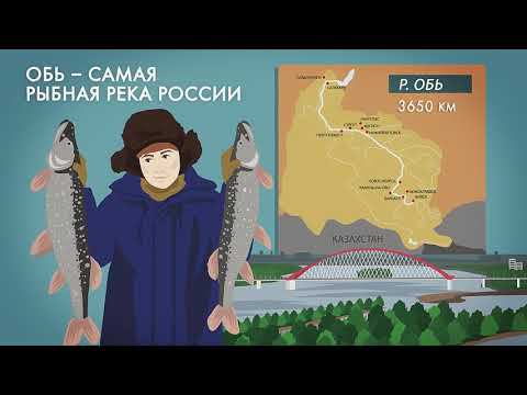 Реки Сибири: Обь, Лена, Енисей, Иртыш, Ангара смотреть онлайн