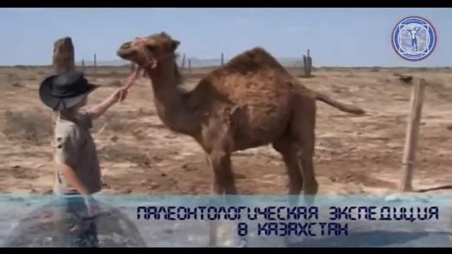 The World Vanguard of Young Cosmonauts смотреть онлайн