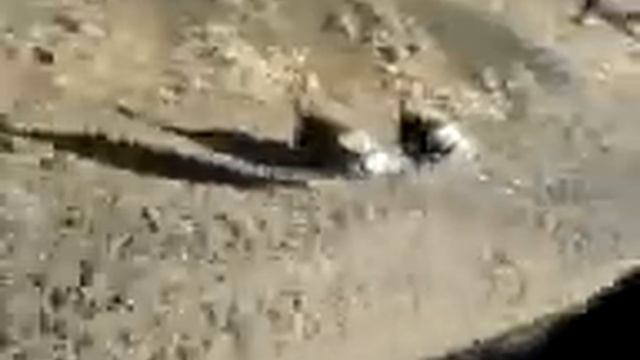 Wild turkey hunt 2 смотреть онлайн