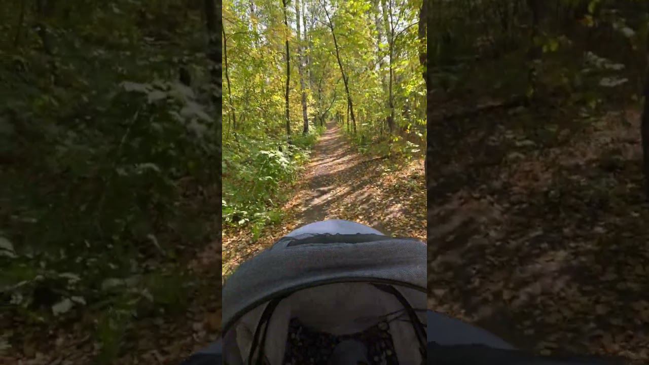 Шикарная прогулка с сыном по осеннему лесу смотреть онлайн