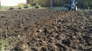 ВСПАШКА ЗЕМЛИ ПЛУГОМ НА МОТОБЛОКЕ НЕВА МБ-2/ЗАПАХИВАЕМ УДОБРЕНИЕ ПЛУГОМ НА МОТОБЛОКЕ НЕВА МБ-2В САД