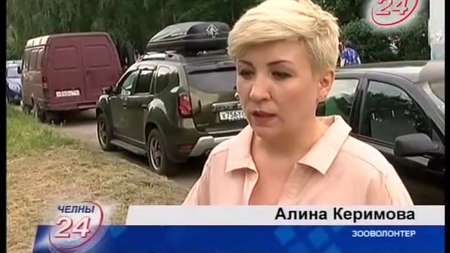 Миф, ставший реальностью: по челнинским улицам гуляет медведь смотреть онлайн