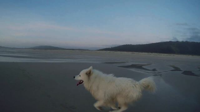 Summer is coming... GitUp Git2 & Feiyu WG смотреть онлайн