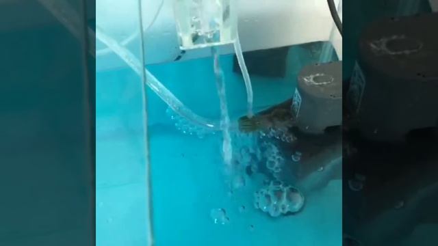 Самп для аквариума своими руками смотреть онлайн
