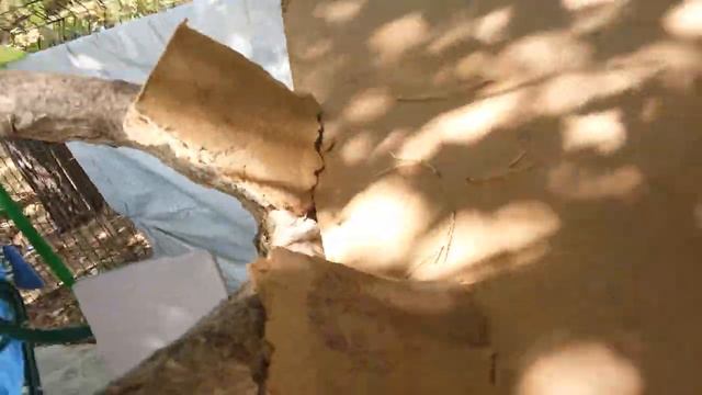 МОИ САМОДЭЛНЕ ИГРУШКИ КУБИКИ смотреть онлайн