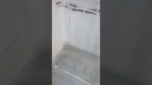 Купель для Бани из Еврокуба .