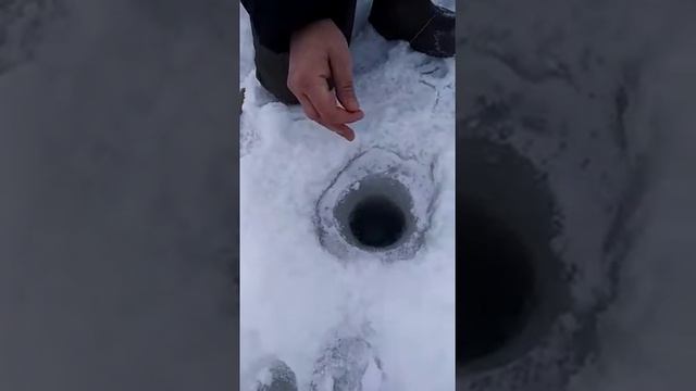Извлечение щуки багром зимой из лунки смотреть онлайн