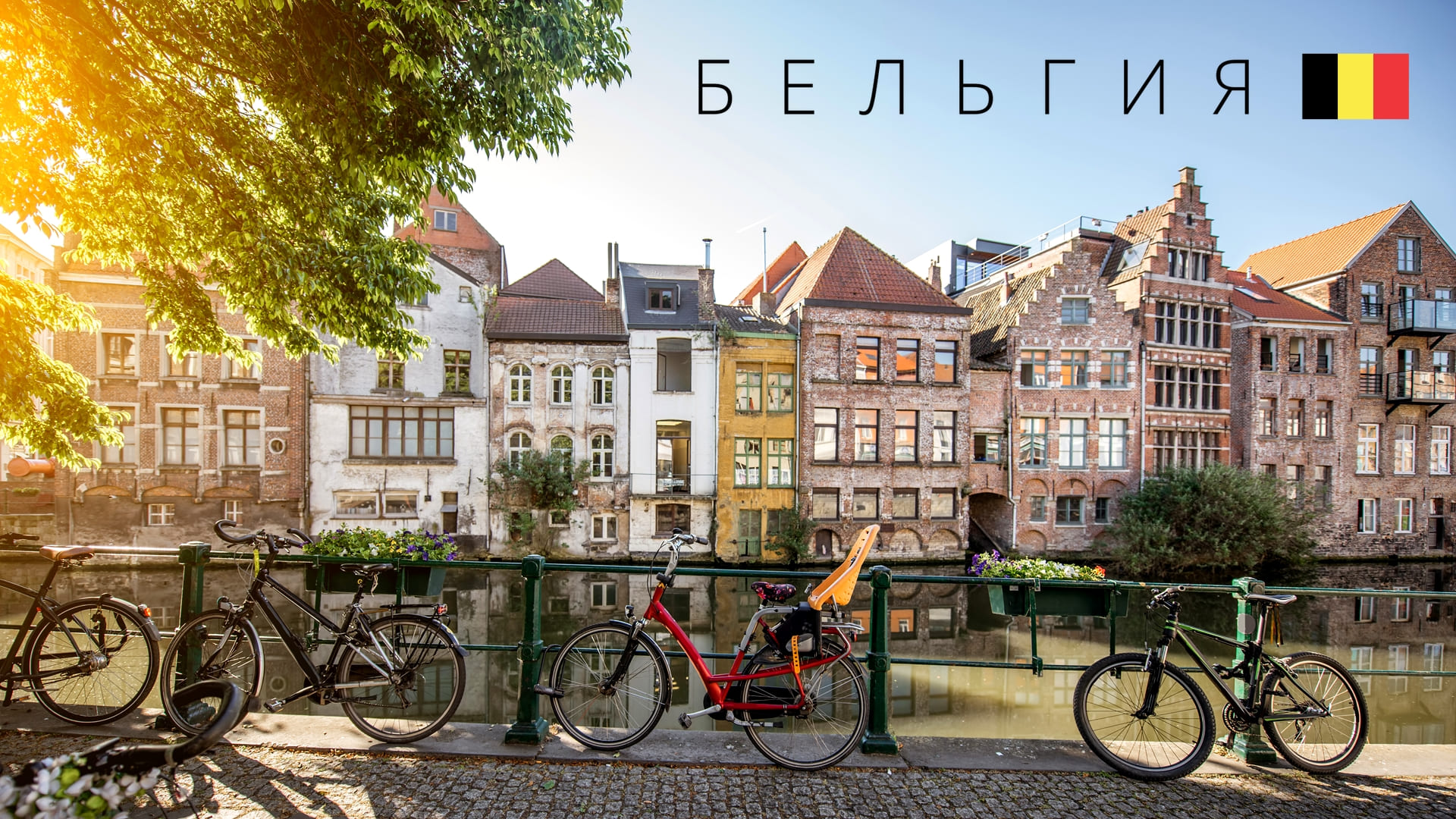 Бельгия | Полный обзор страны смотреть онлайн