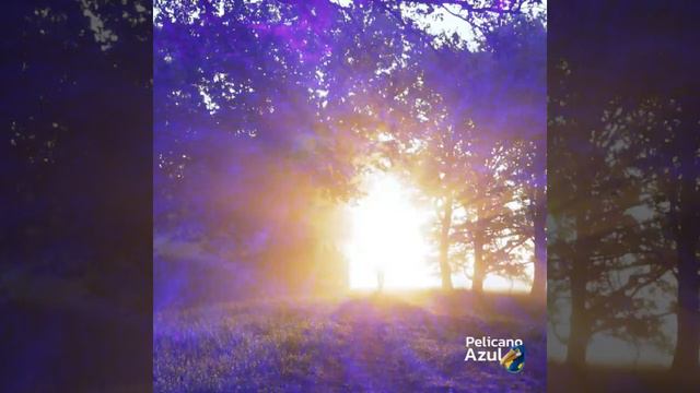 Mantra  - Om Mani Padme Hum  - Pelicano Azul