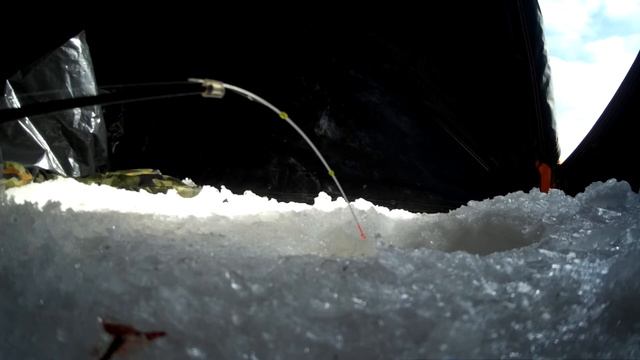 Яуза...Рыбалка! рыбалка на Яузе. Яузское водохранилище...