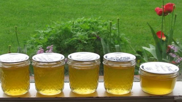 Варенье из одуванчика смотреть онлайн