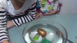 Волшебные яйца животных. Растущие в воде игрушки