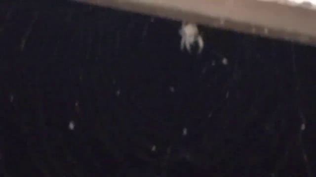 жизнь при людях, без людей смотреть онлайн