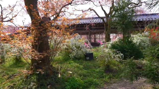 【4/5 Харатани-эн】 Киото - настоящий рай в мире живописи. смотреть онлайн