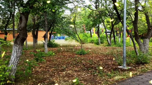 Родственники мужа не устают занимать деньги, но в этот раз я им отказала смотреть онлайн