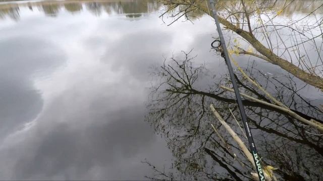 Ловля ЩУКИ В КОРЯГАХ осенью