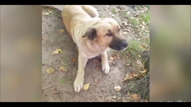 Озеро Кромань 1.09.2019 смотреть онлайн