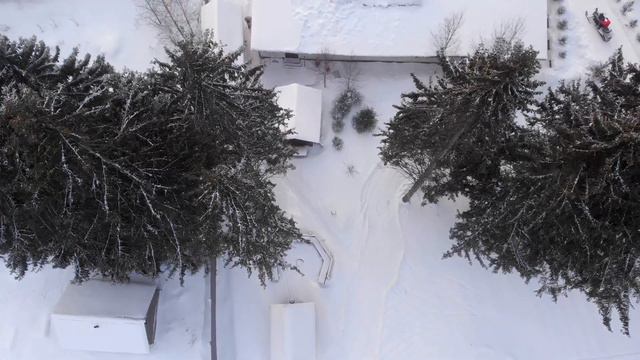 Любимка на Селигере, 4K смотреть онлайн