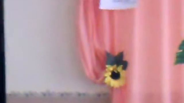 Фестиваль "Свята Покрова" 18.11.2014 смотреть онлайн