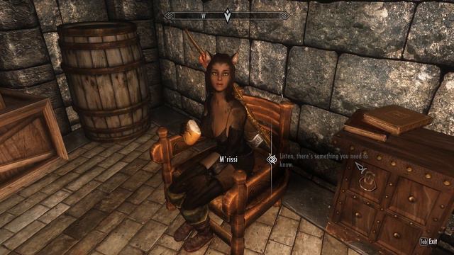 Skyrim Mod Review - M'rissi's Tails of Troubles смотреть онлайн