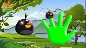 Angry Birds Finger Family Nursery Rhymes