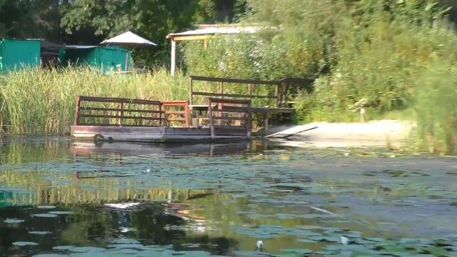 Битюг 19 августа 2021 смотреть онлайн