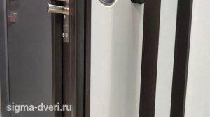 Входная дверь с терморазрывом Ratex T4 Brown