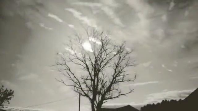 IT HAS STARTED - ZOMBIE VIRUS смотреть онлайн