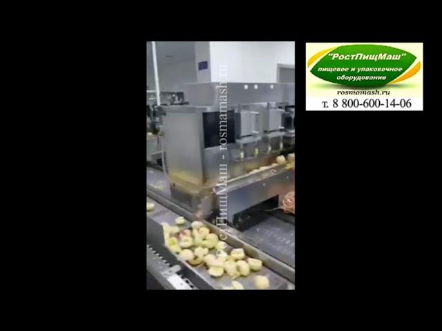 Линия очистки и резки яблок от РостПищМаш смотреть онлайн