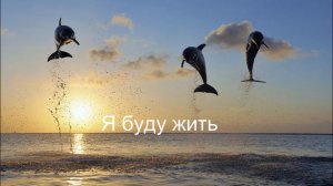 Дельфин Я буду жить