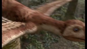 Динозавры - Криолофозавр,Епидендрозавр,Микрораптор,Эпидексиптерикс,Лонгисквамa.Best kids TV.