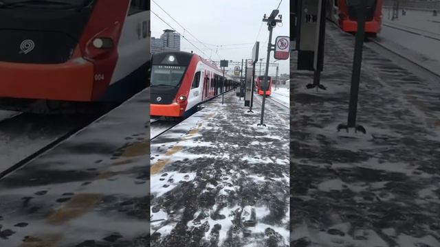 Поезда Иволга на МЦД смотреть онлайн