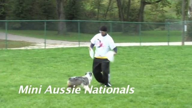 2009 Mini Aussie Nationals Promo смотреть онлайн