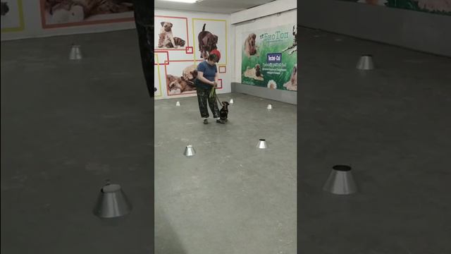 Ноузворк Барнаул смотреть онлайн