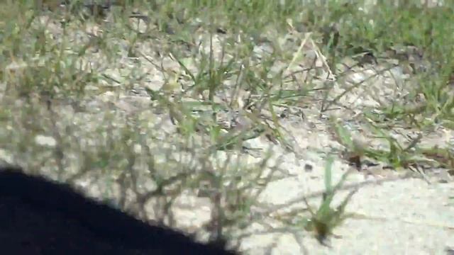 ЖЕНСКАЯ СОЛИДАРНОСТЬ (1).MTS смотреть онлайн