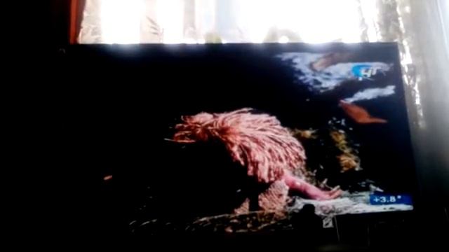 Домовёнок кузя смотреть онлайн