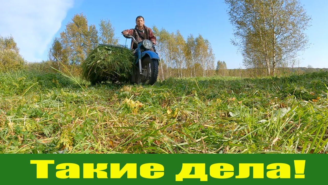 Первый мясной день, снимаю опалубку, вести с покосов! Сентябрь в деревне! смотреть онлайн