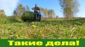 Первый мясной день, снимаю опалубку, вести с покосов! Сентябрь в деревне!