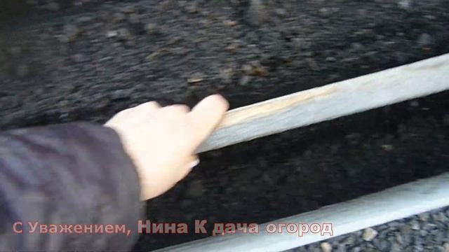 Морковь будет слаще ананаса:)СПОСОБ ПОСАДКИ МОРКОВИ ПОД ЗИМУ.Подготовка грядки Срок посадки в ноябр смотреть онлайн